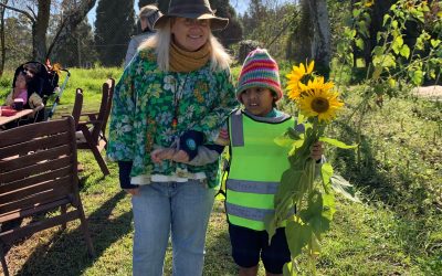 Embracing Nature and Individual Growth: Our Steiner Outdoor Curriculum